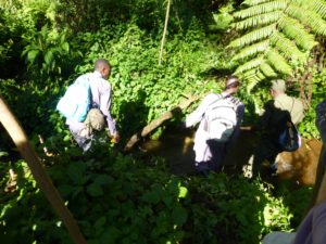 gorilla-trekking-ranger-fluss-uganda-ugandaleaks